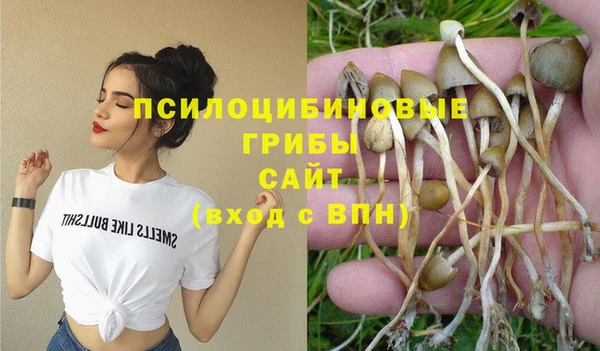 мяу мяу кристалл Богданович