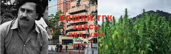 винт Богородицк