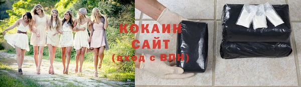 винт Богородицк