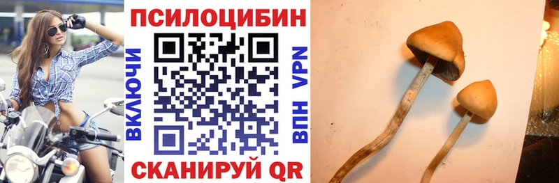 Купить где  Гремячинск  Псилоцибиновые грибы прущие грибы 